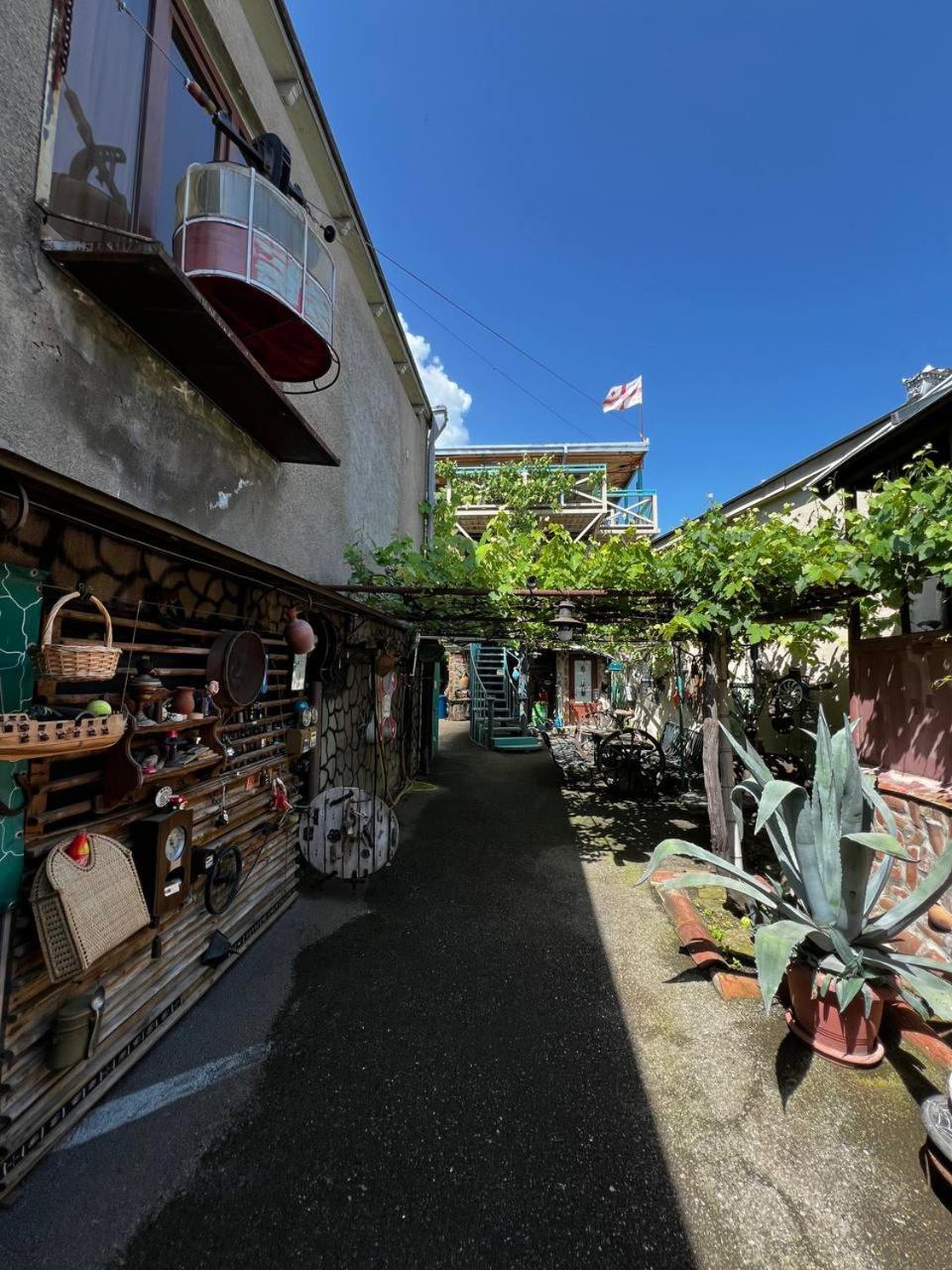 Qilimcha'S Guesthouse-Art Museum 泰拉维 外观 照片